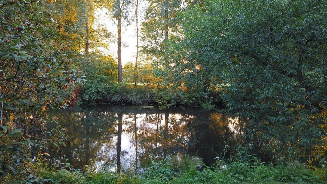 Апартаменты Fewo Lueneburger Heide - Aurelia Бад-Бевензен Экстерьер фото